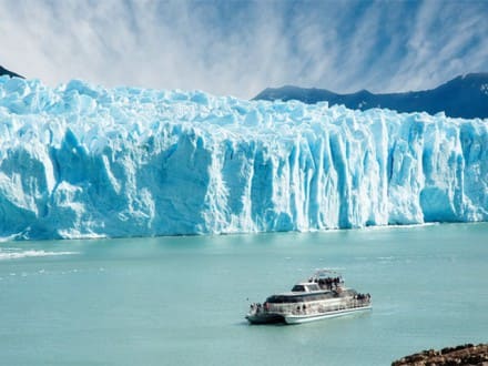 calafate